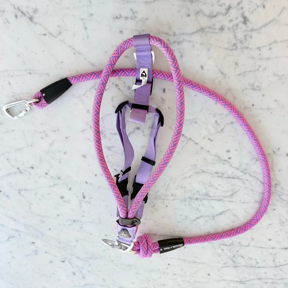 Arcadia Trail rope dog harness and leash in pink and purple